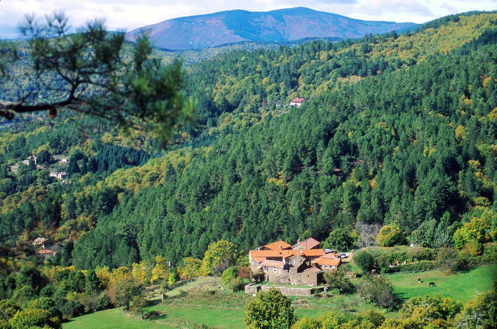Chambres D'Hotes Lou-Rey Le Collet-de-Dèze Eksteriør billede